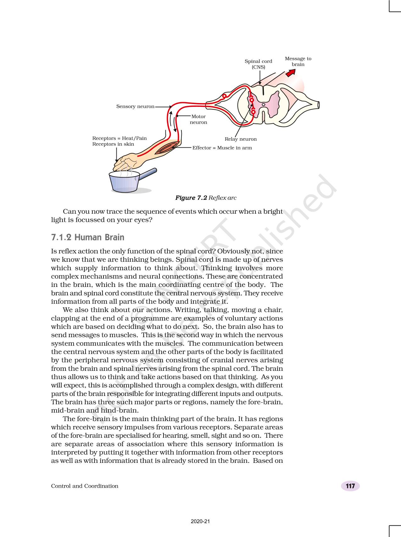 Control And Coordination - NCERT Book of Class 10 Science