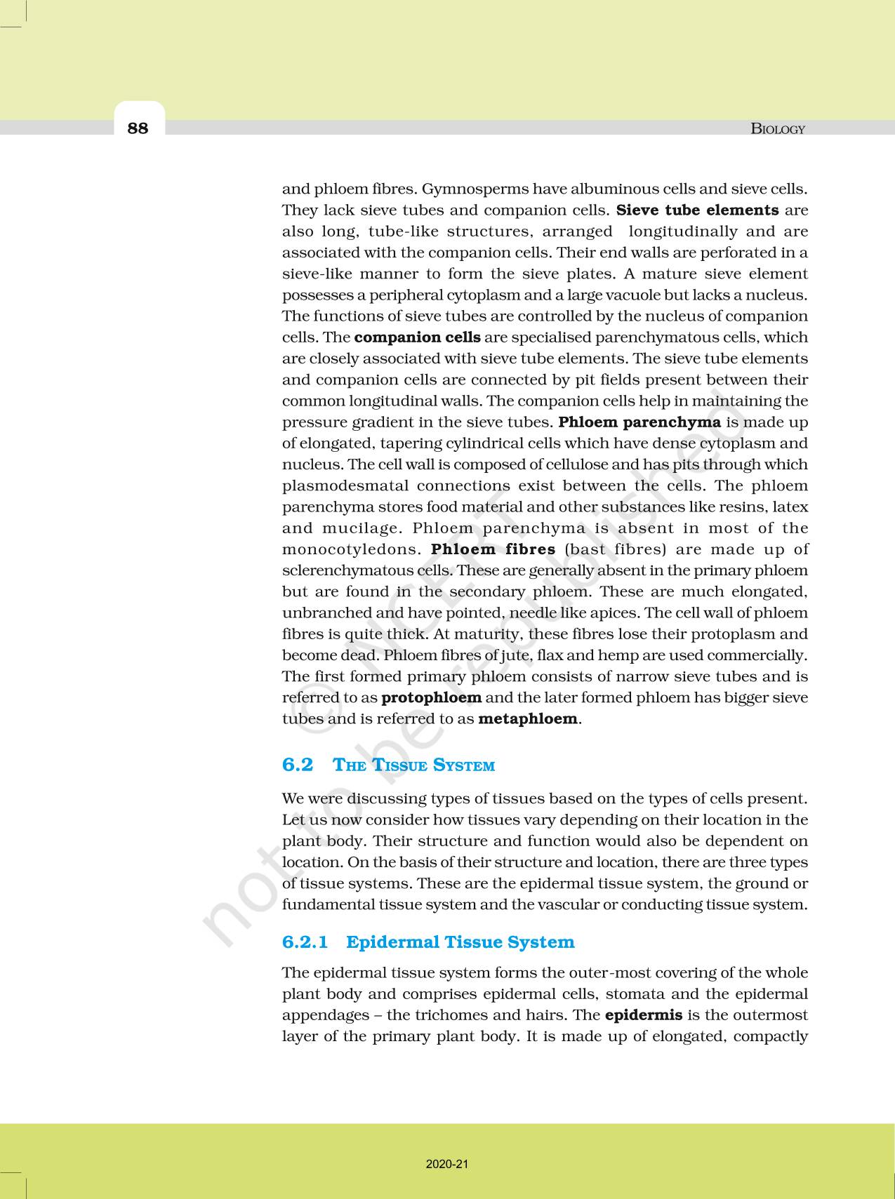 Anatomy Of Flowering Plants - NCERT Book of Class 11 Biology