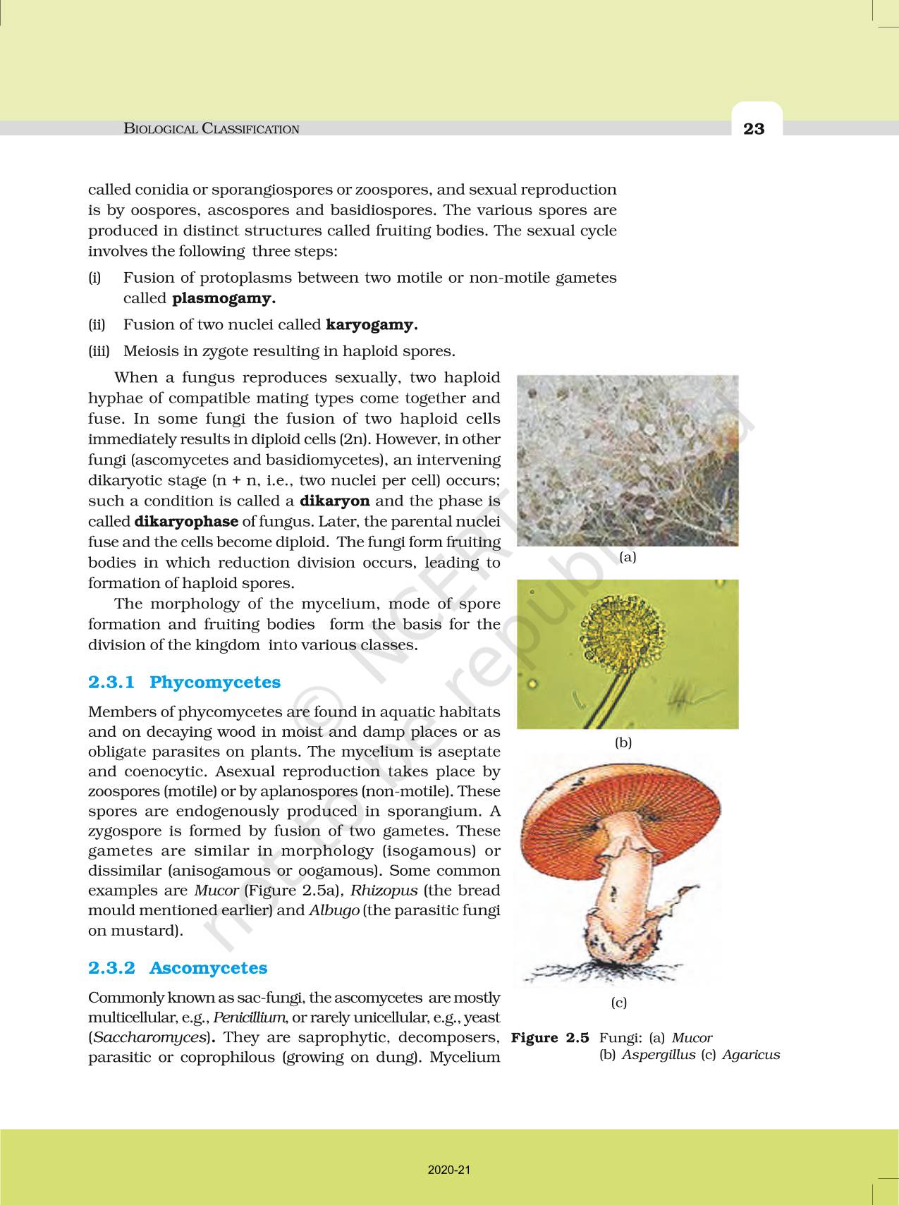 Biological Classification - NCERT Book of Class 11 Biology