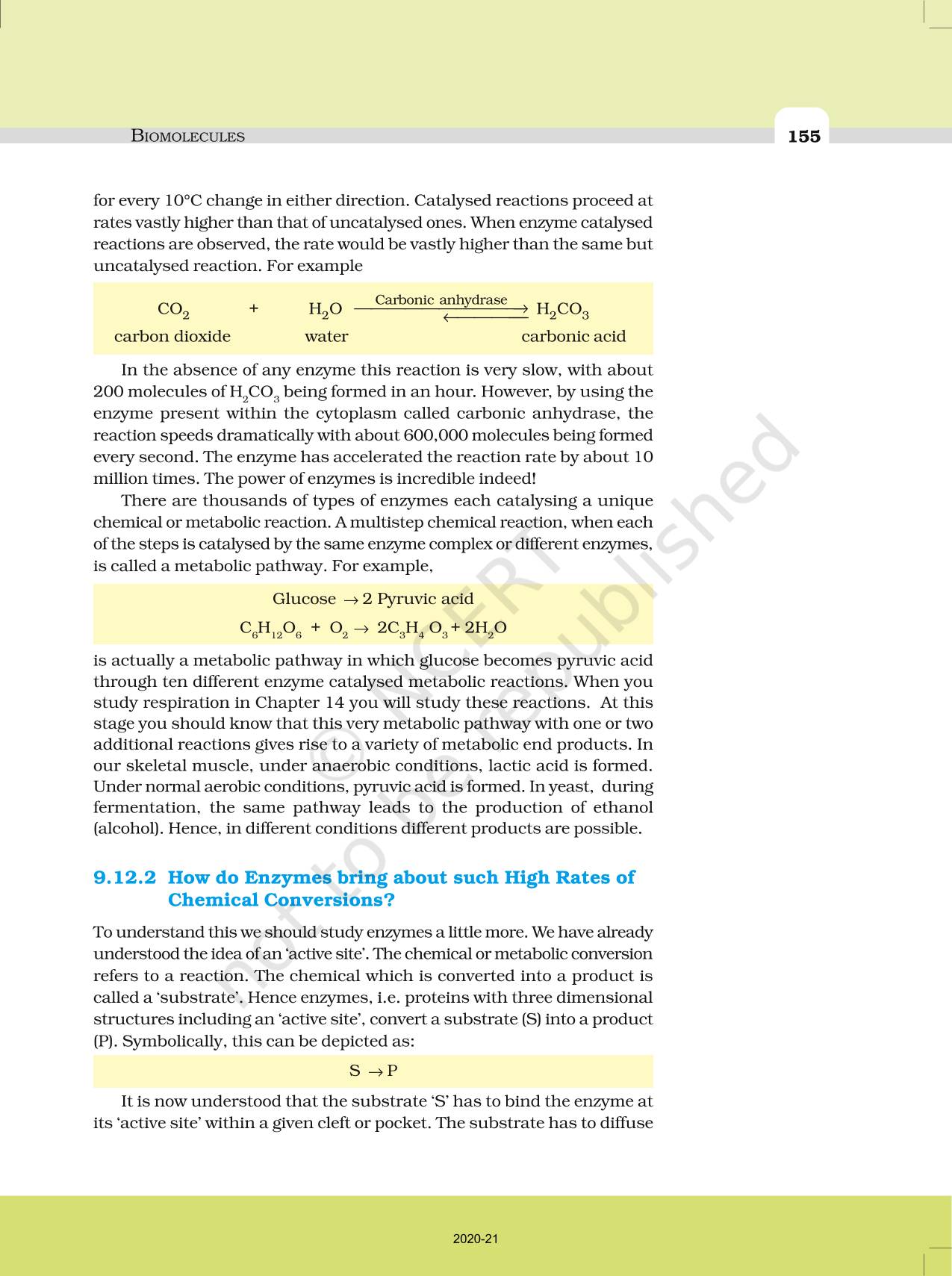 Biomolecules - NCERT Book of Class 11 Biology