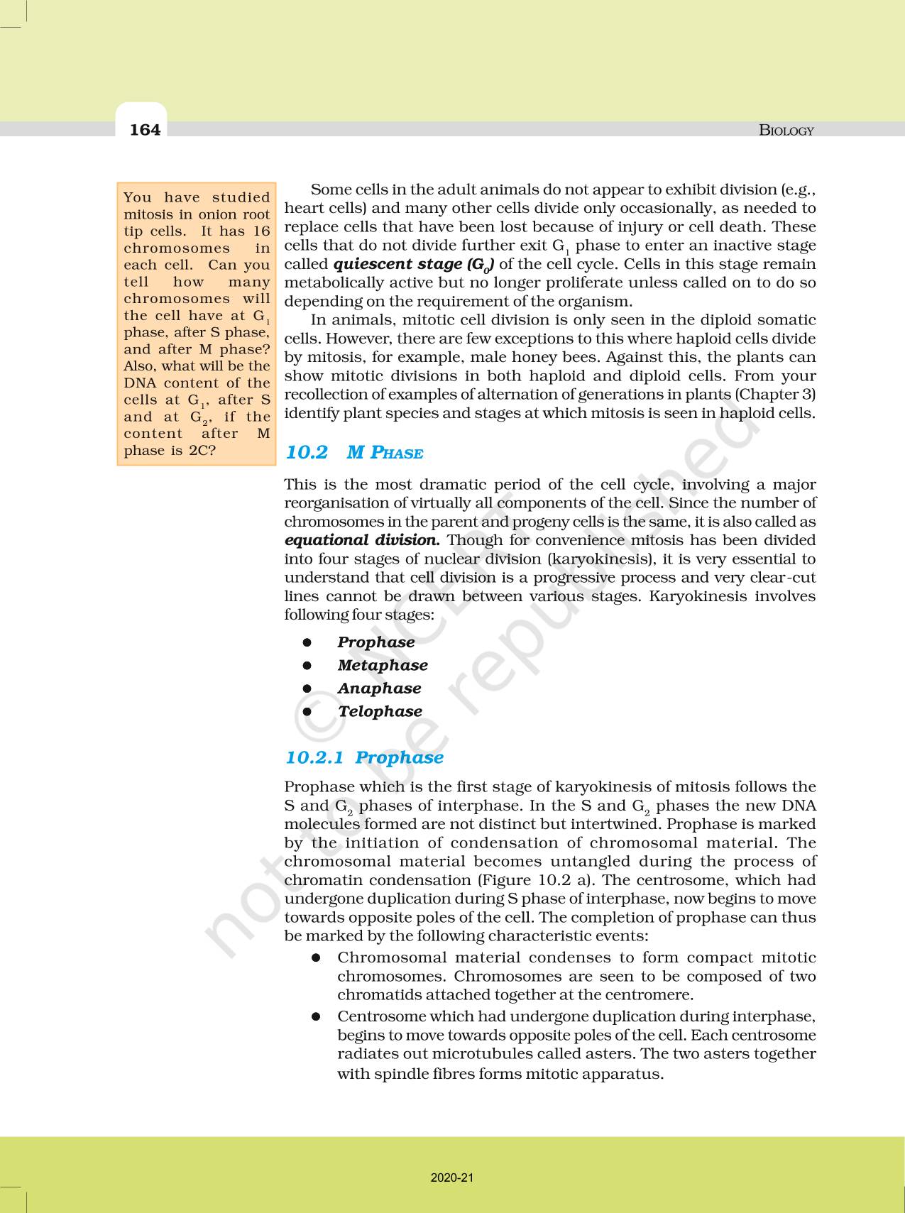 Cell Cycle And Cell Division - NCERT Book of Class 11 Biology