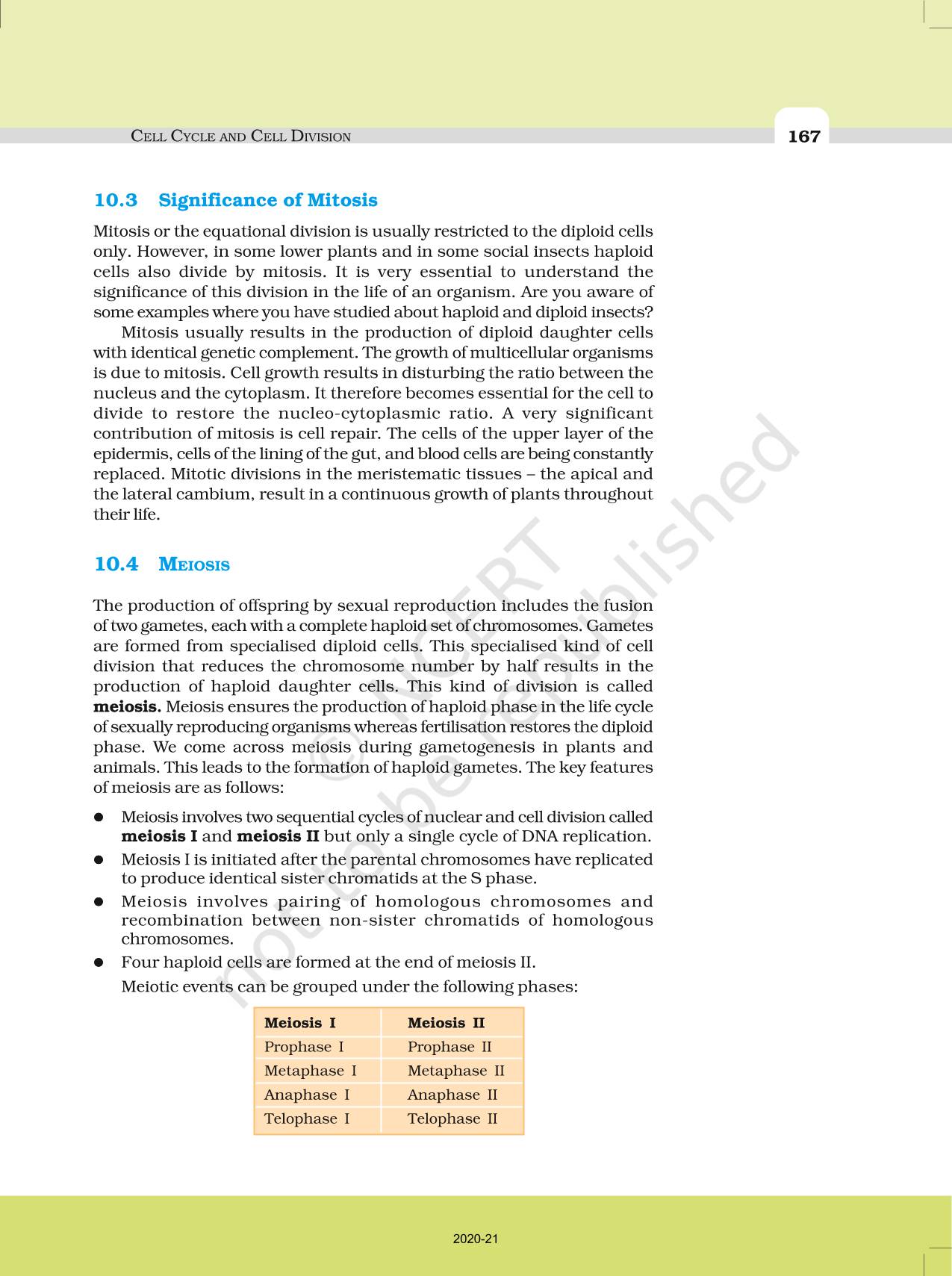 Cell Cycle And Cell Division - NCERT Book of Class 11 Biology