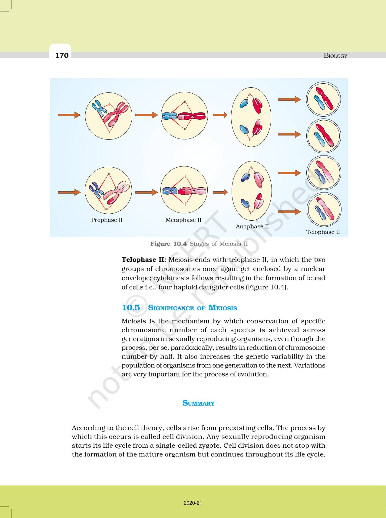 Cell Cycle And Cell Division - NCERT Book of Class 11 Biology