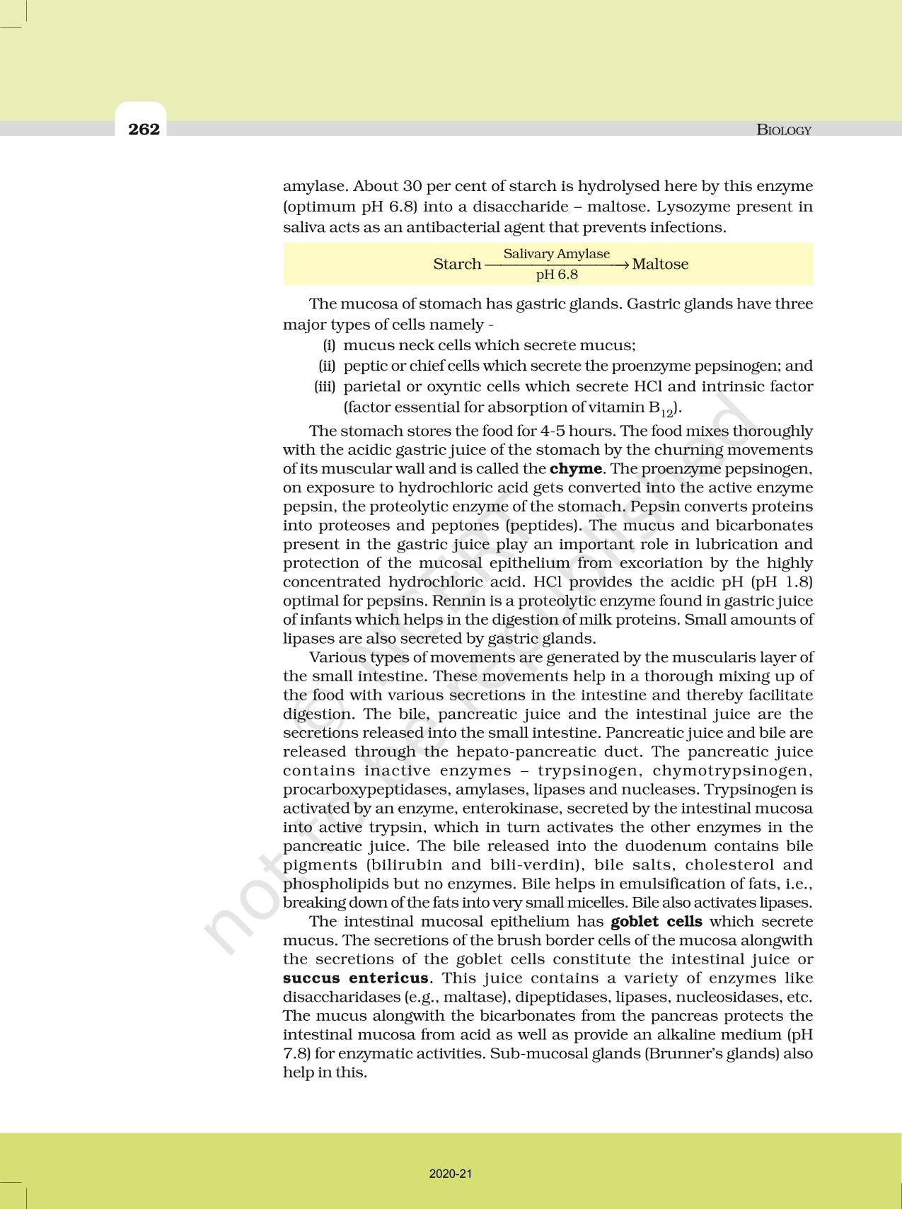 Digestion And Absorption - NCERT Book of Class 11 Biology