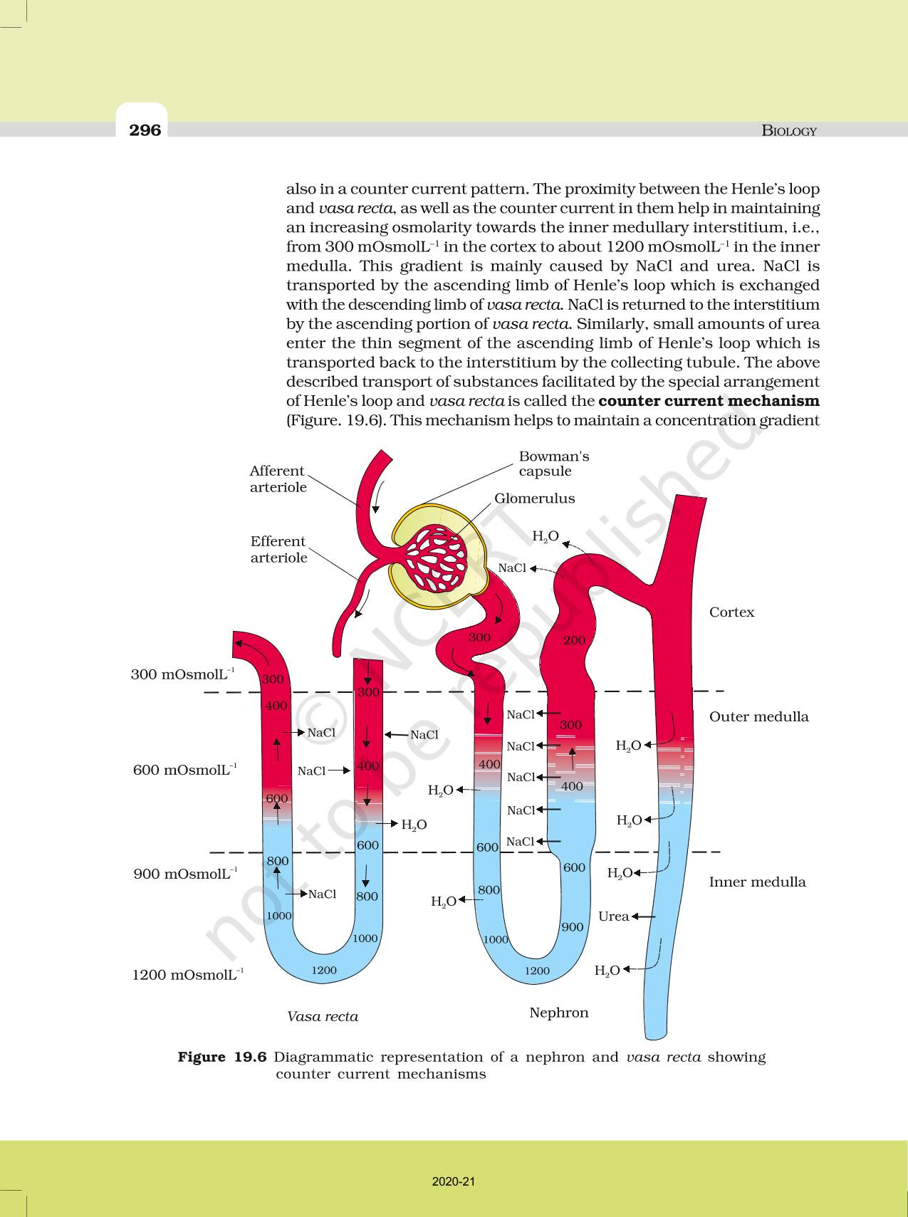 Excretory Products And Their Elimination - NCERT Book of Class 11 Biology