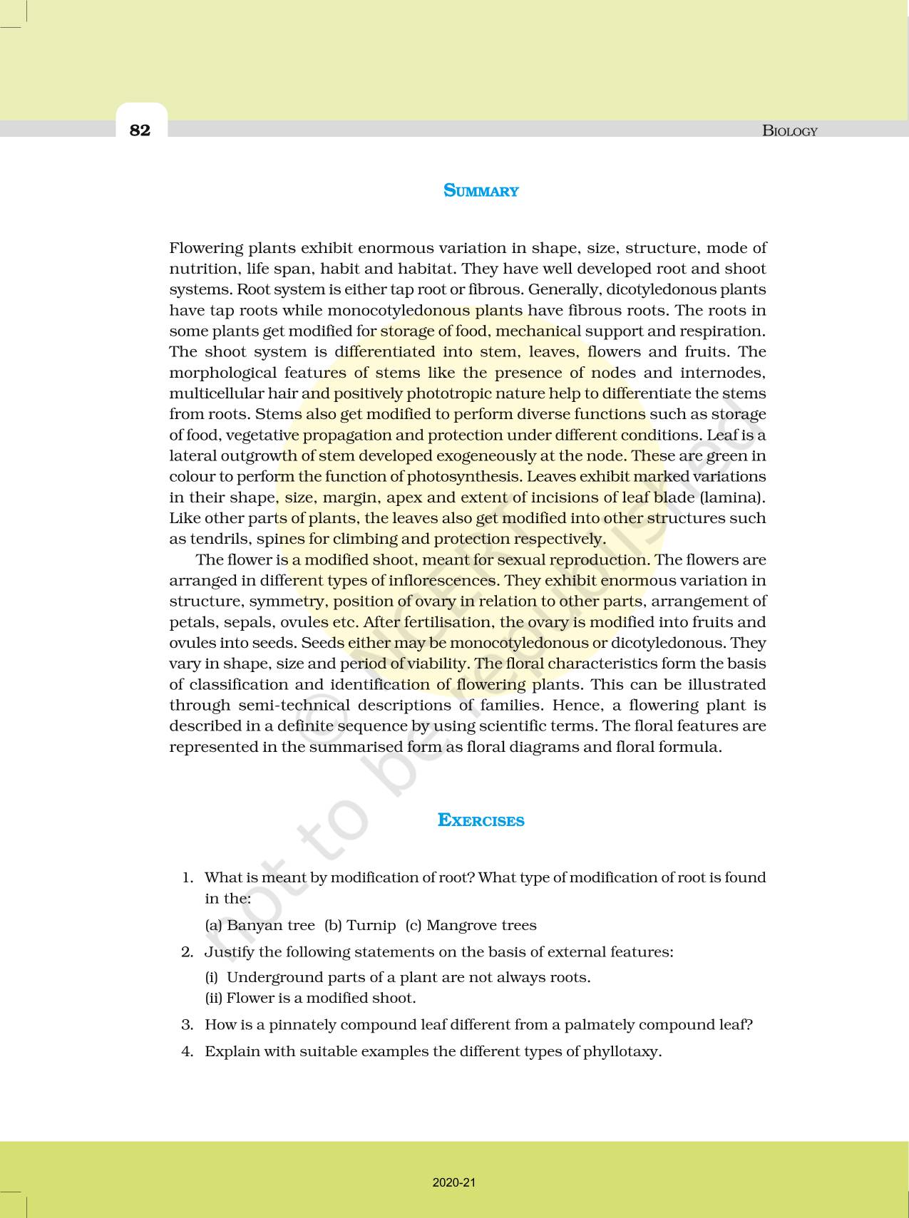 Morphology Of Flowering Plants - NCERT Book of Class 11 Biology