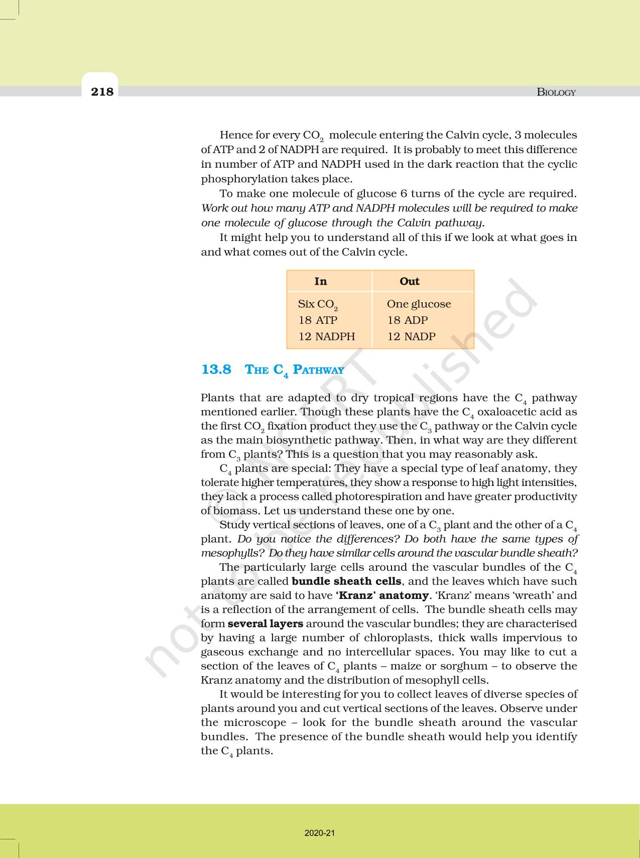 Photosynthesis In Higher Plants - NCERT Book of Class 11 Biology