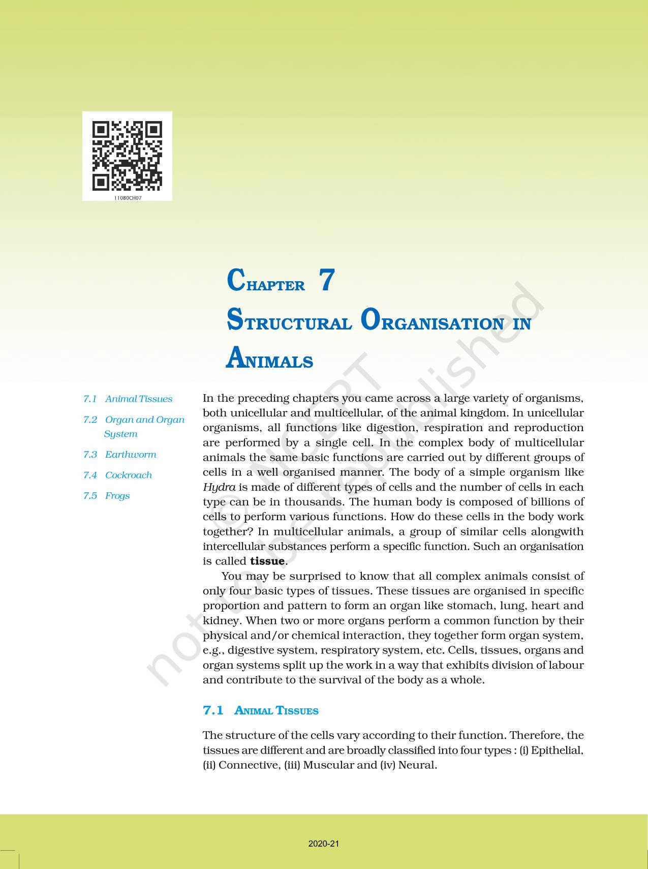 Structural Organisation In Animals - NCERT Book of Class 11 Biology