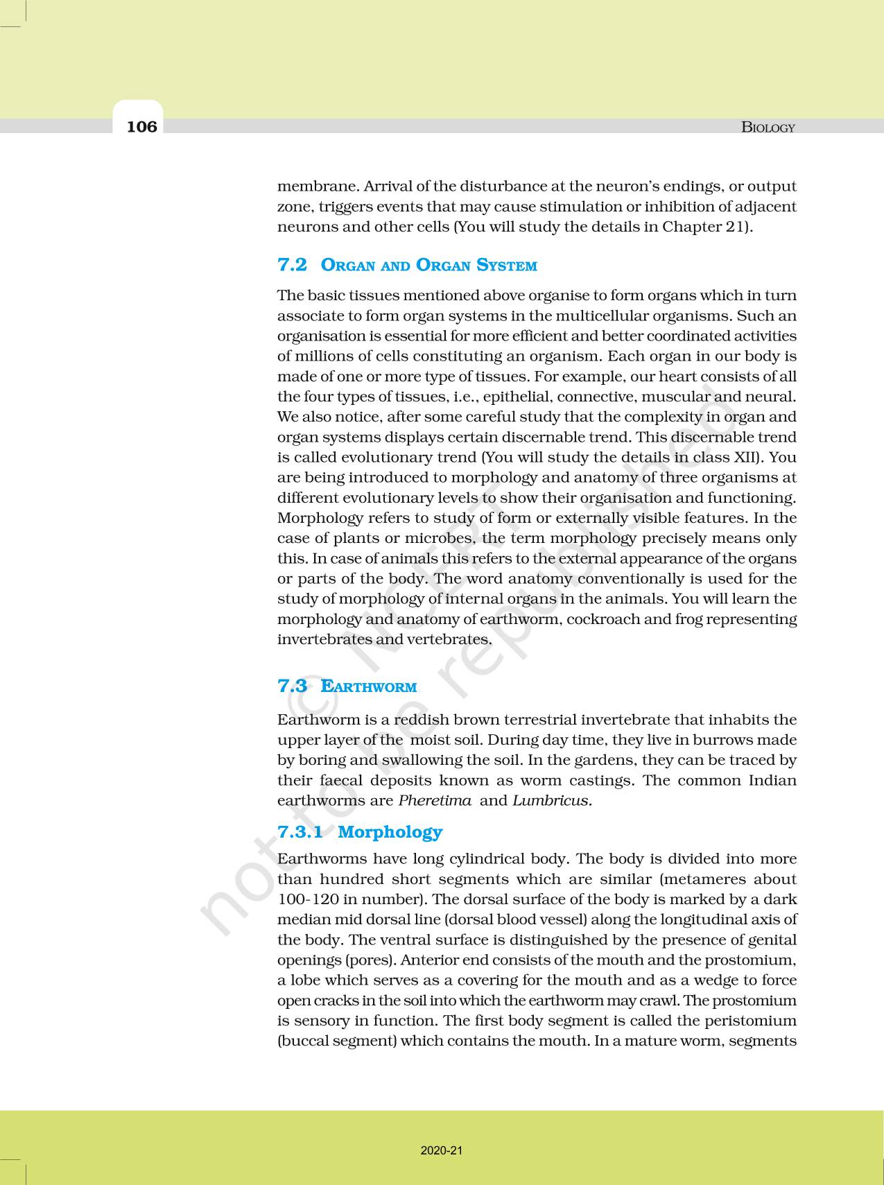 Structural Organisation In Animals - NCERT Book of Class 11 Biology