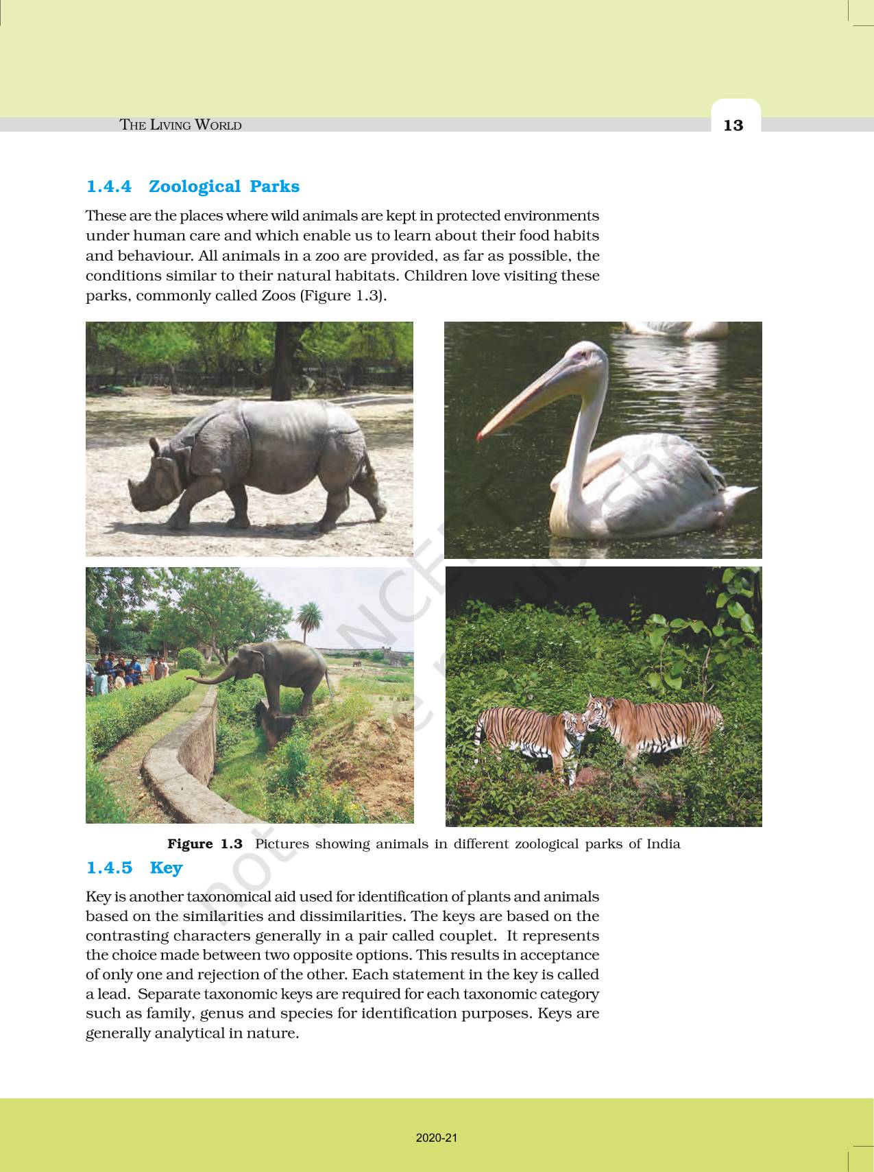 The Living World - NCERT Book of Class 11 Biology