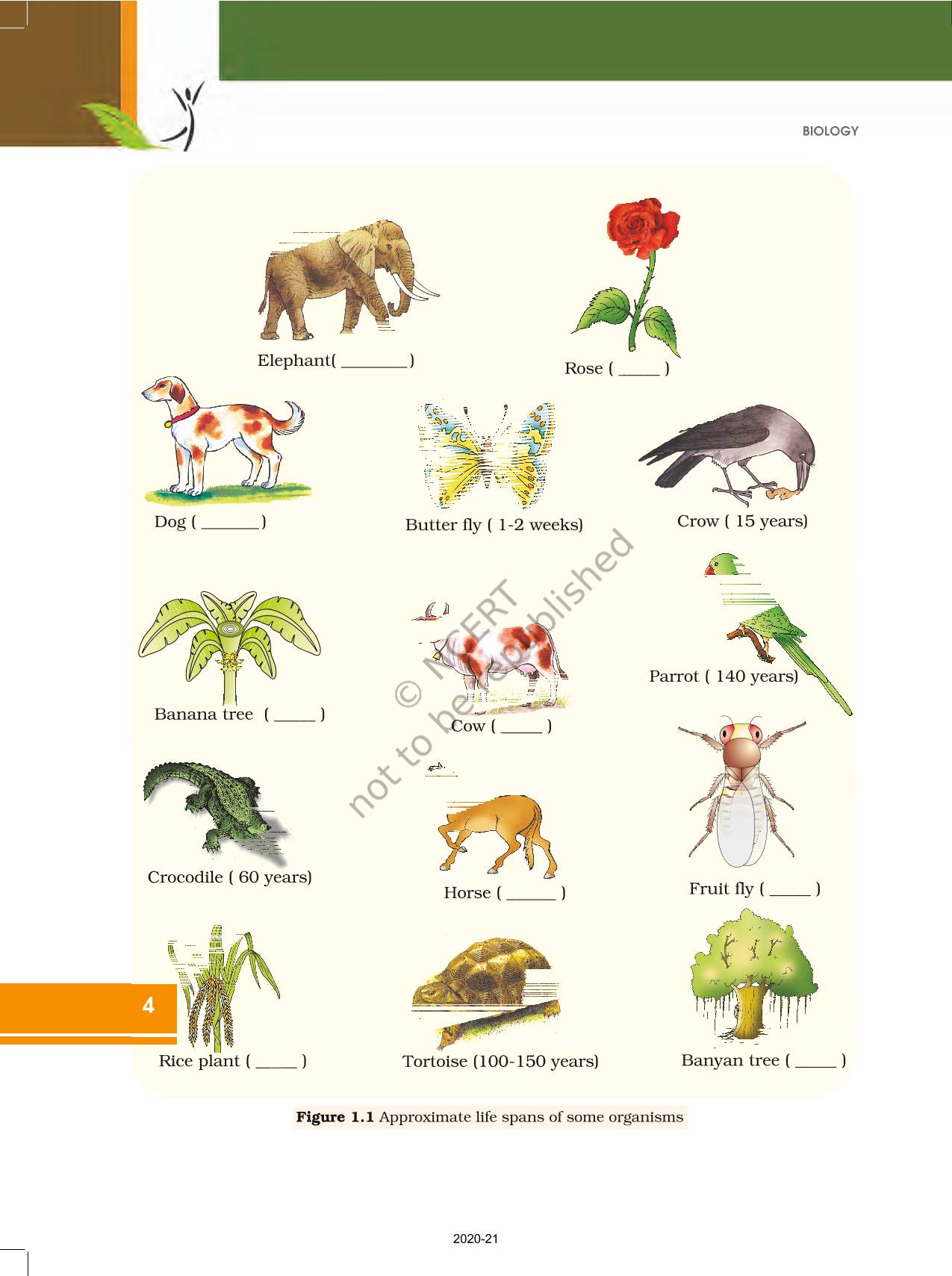 Reproduction In Organisms - NCERT Book of Class 12 Biology