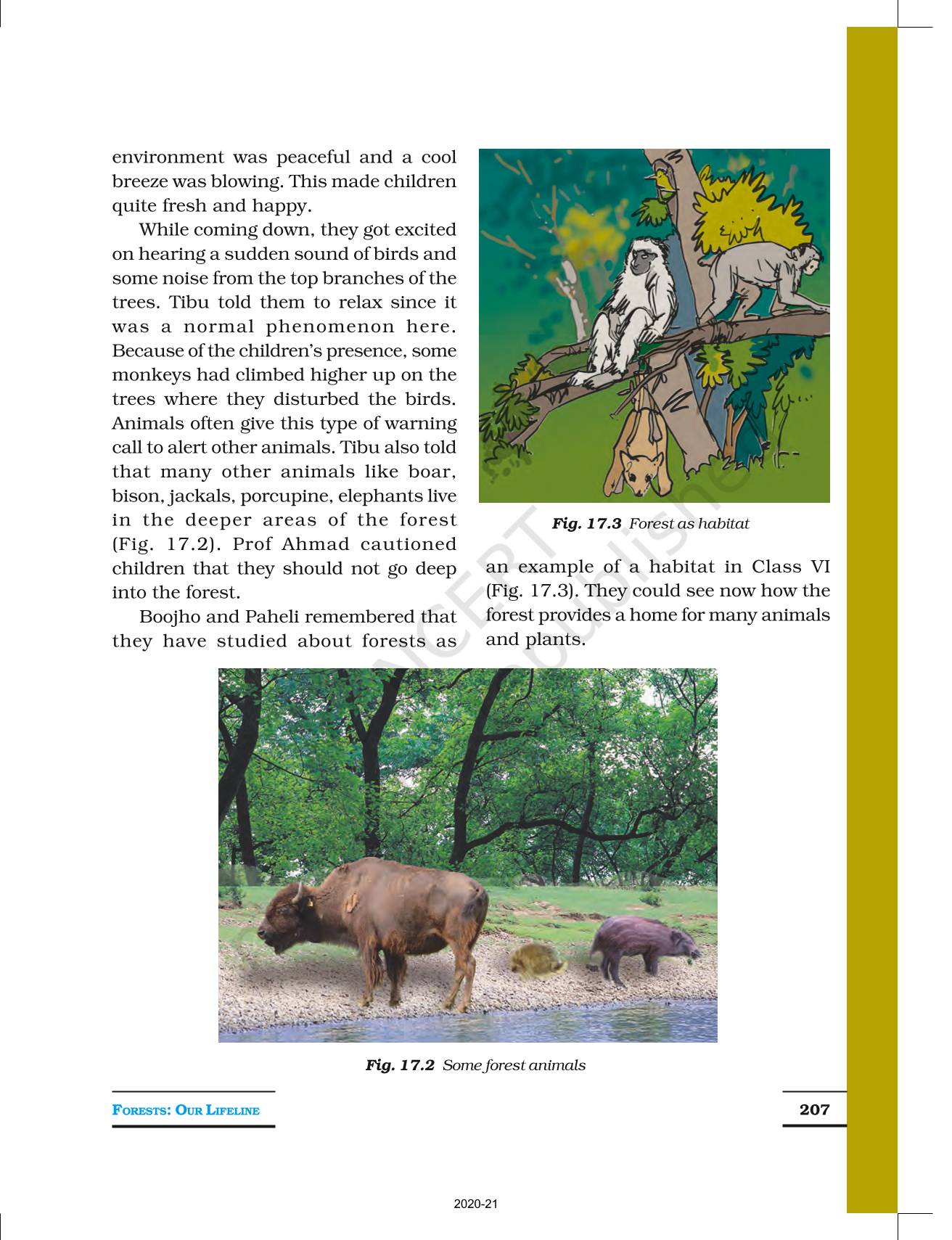 Forests Our Lifeline - NCERT Book of Class 7 Science