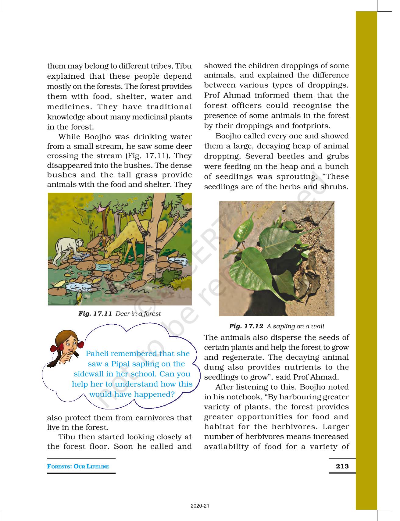 Forests Our Lifeline - NCERT Book of Class 7 Science