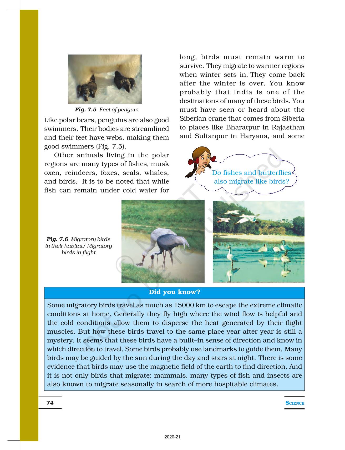 Weather Climate And Adaptations Of Animals To Climate - NCERT Book of Class  7 Science