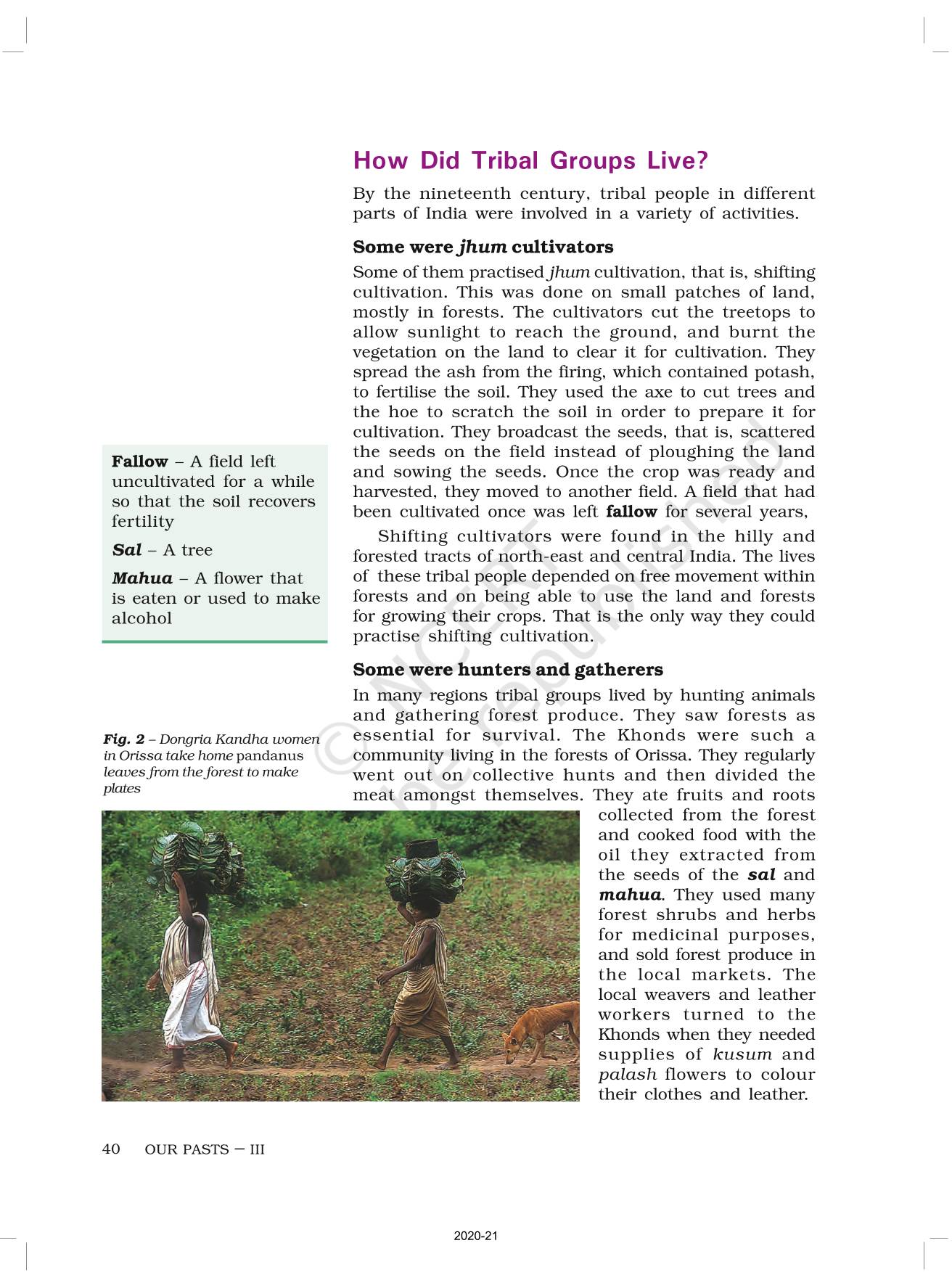 Tribals Dikus And The Vision Of A Golden Age - NCERT Book of Class 8 ...