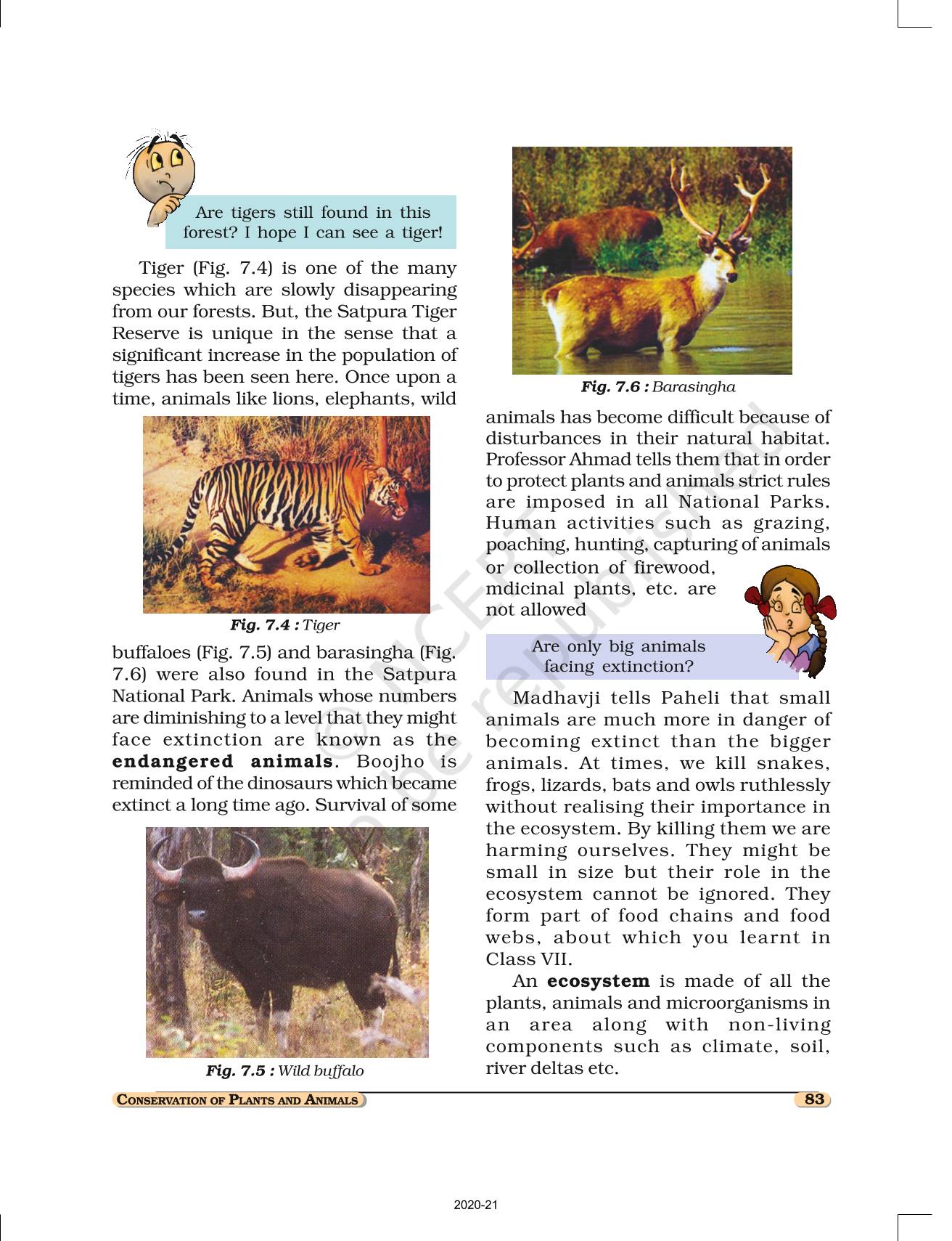Conservation Of Plants And Animals - NCERT Book of Class 8 Science